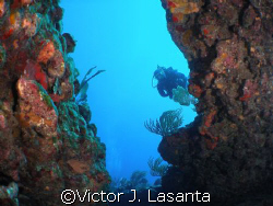 inside the trench in los arcos dive site in parguera area... by Victor J. Lasanta 
